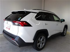 RAV4 G
