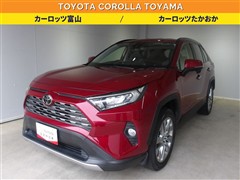 RAV4 G Zパッケージ