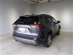 RAV4 G
