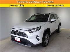 RAV4 G