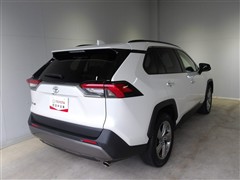 RAV4 G