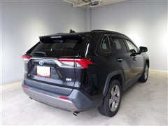 RAV4 ハイブリッドG