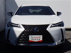 UX250h ブラウンE/D