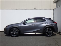 UX250h ヒョウジュンシャ