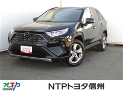 RAV4 G