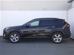 RAV4 G