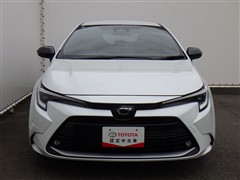 カローラツーリング ダブルバイ