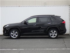 RAV4 G