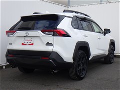 RAV4 アドベンチャー オフロート