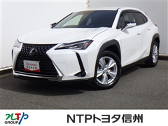 UX250h ヒョウジュンシャ