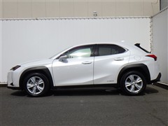 UX250h ヒョウジュンシャ