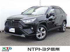 RAV4 G