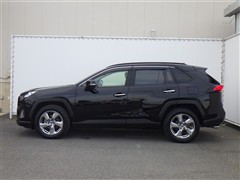 RAV4 G