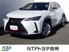 UX250h ヒョウジュンシャ