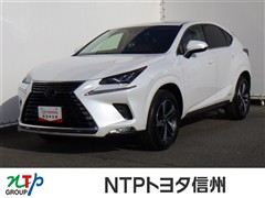 NX300h ヒョウジュンシャ