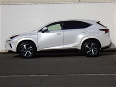 NX300h ヒョウジュンシャ