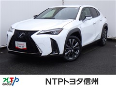 UX250h ヒョウジュンシャ