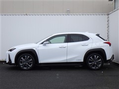 UX250h ヒョウジュンシャ