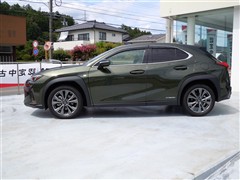 UX250h Fスポーツ