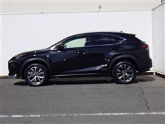 NX300h Fスポーツ