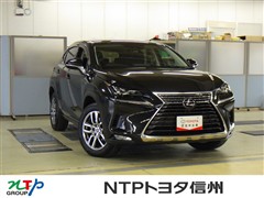 NX300h バージョンL