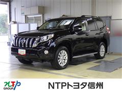 トヨタ ランドクルーザープラド TZ-G