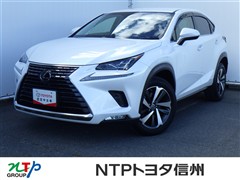 NX300 Iパッケージ