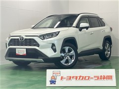 RAV4 G