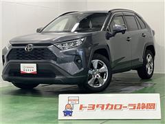 RAV4 X