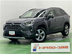 RAV4 G