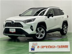 RAV4 ハイブリッドG