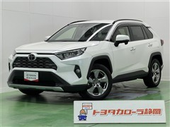 RAV4 G