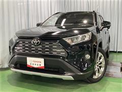 RAV4 G Zパッケージ