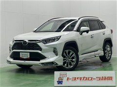 RAV4 G Zパッケージ