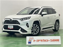 RAV4 G Zパッケージ