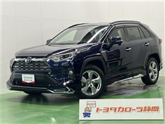 RAV4 ハイブリッドG
