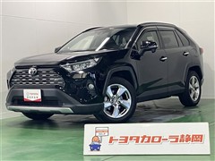 RAV4 G