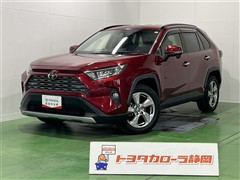 RAV4 G