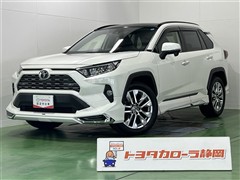 RAV4 G Zパッケージ