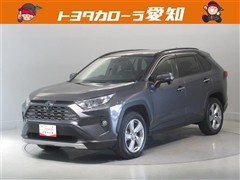 RAV4 G