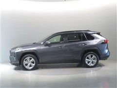 RAV4 G