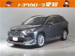 RAV4 G Zパッケージ