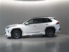 RAV4 G