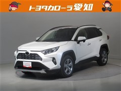 RAV4 G