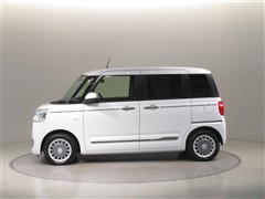 ムーヴキャンバス セオリー G