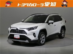 RAV4 G