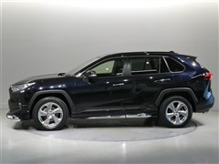 RAV4 G