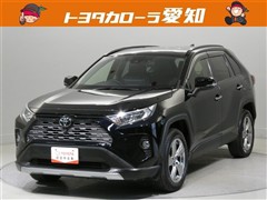 RAV4 G