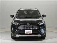 RAV4 G
