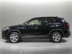 RAV4 G